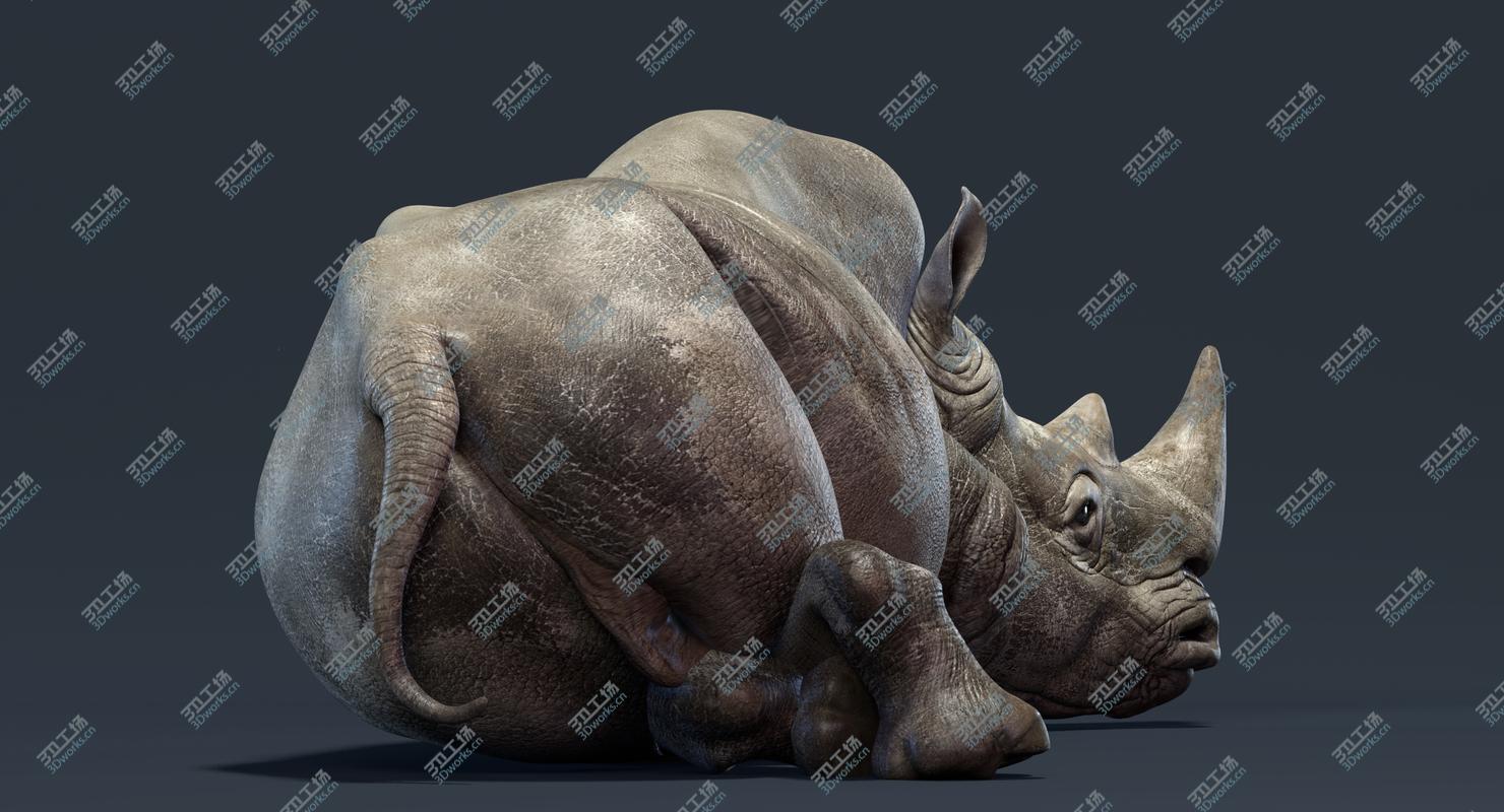 images/goods_img/20210313/Rhino Family (Animated) 3D/4.jpg